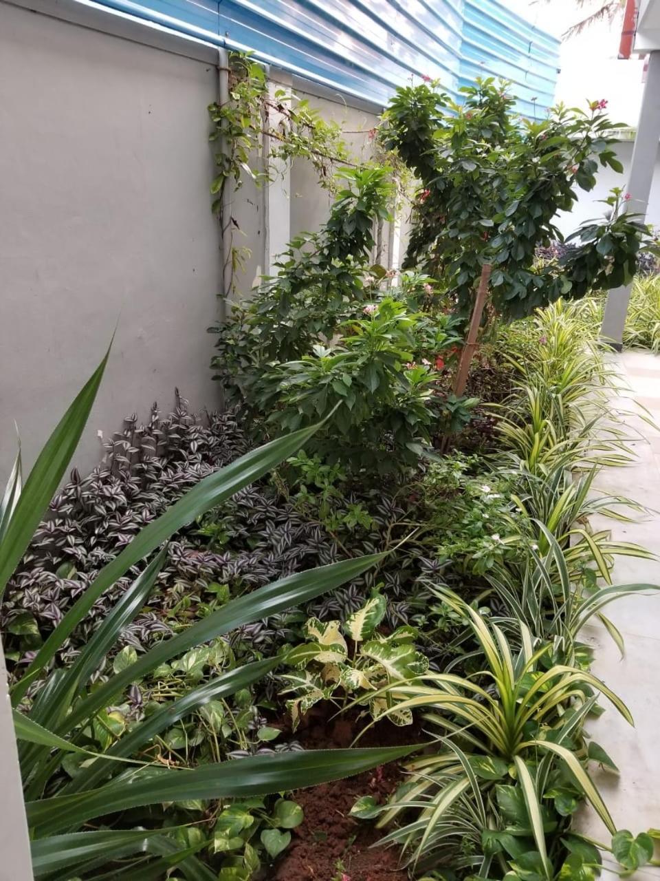 Berty'S Cottage Jaffna Exterior photo