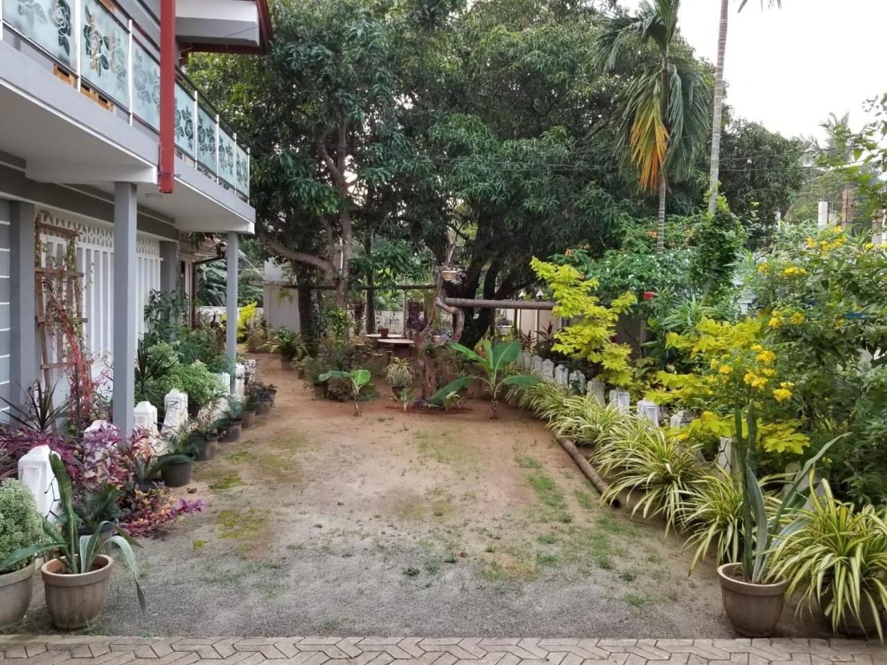 Berty'S Cottage Jaffna Exterior photo