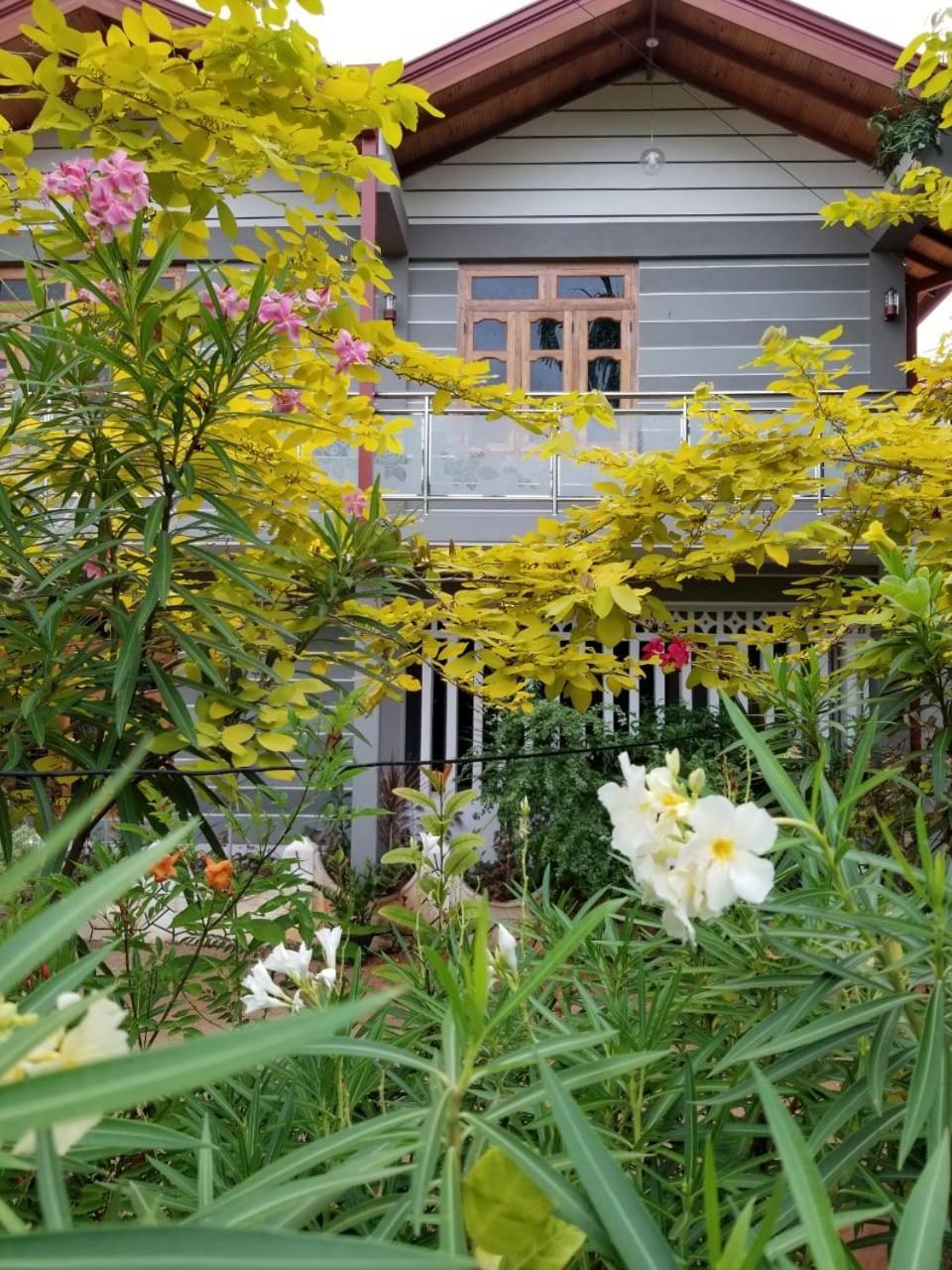 Berty'S Cottage Jaffna Exterior photo